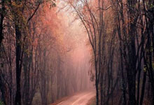 一键安装 ShadowsocksR/SSR