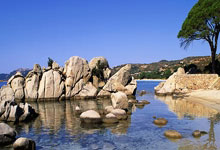 一键安装 ShadowsocksR/SSR